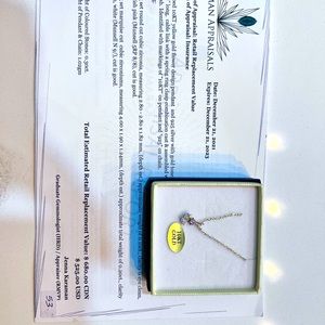 10ct gold necklace with certificate- retails for 640cdn